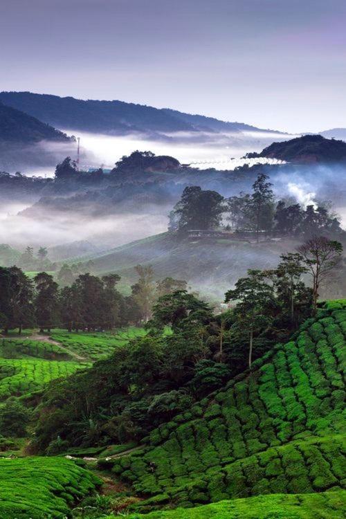 Ou Inn Cameron Highlands ,Ferm Nyonya Restaurant Танах-Рата Экстерьер фото