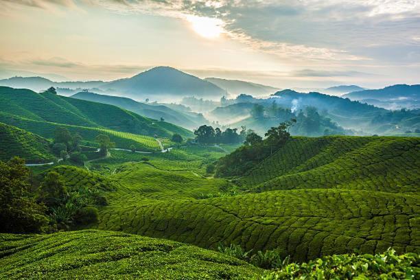 Ou Inn Cameron Highlands ,Ferm Nyonya Restaurant Танах-Рата Экстерьер фото